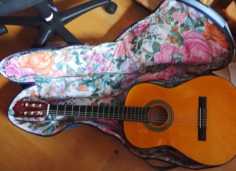 Gitarrentasche