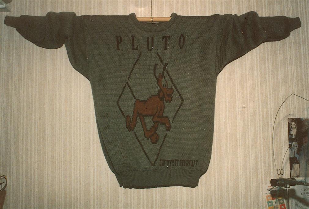Pluto Pulli,