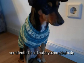 Strickpulli für den Hund