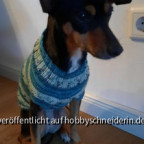 Strickpulli für den Hund