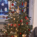 Weihnachtsbaum 2020