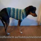 Strickpulli für den Hund