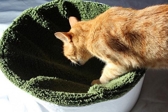 Katzenkorb selbst gemacht