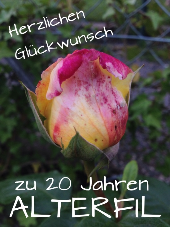 20 Jahre Alterfil
